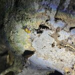 Photo taken by Chris G