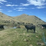 Photo taken by Gabrielle H