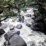 Photo taken by Judy H