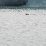 Photo taken by Amy C