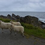 Photo taken by paolo c