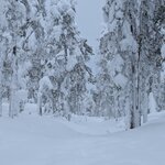 Photo taken by Monique V