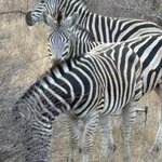 Photo taken by Paul B