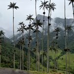 Photo taken by Beatriz V