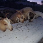 Photo taken by Patricia K