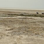 Photo taken by Nigel R