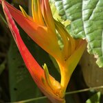 Photo taken by Morton A