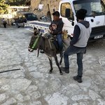 Dana | Photo taken by Nicole C