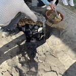 Photo taken by Alpa M