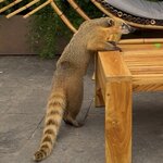 Photo taken by Bruna I