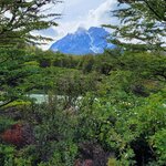 Photo taken by Arnie S