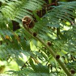 Photo taken by Sean M