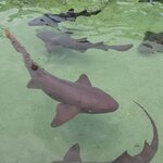 Photo taken by amny g