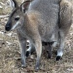 Photo taken by Judith C