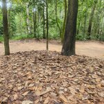 Photo taken by Sevi Y