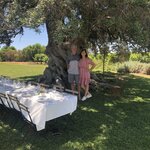 Photo taken by Russ K