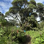 Photo taken by Fuad A