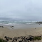 Photo taken by Amy Z