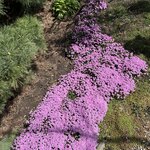 Photo taken by Jennifer D