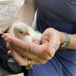 Photo taken by Roveen B