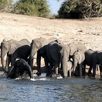 Photo taken by Janie W