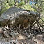 Photo taken by Darcy G