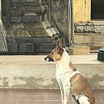 Photo taken by Cynthia C