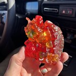 Photo taken by Carrie A