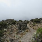 Photo taken by Kristin M