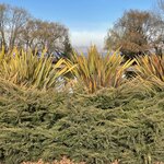 Photo taken by Graciela P