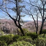 Photo taken by Kirti P