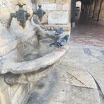 Photo taken by Joan B