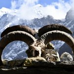 Photo taken by Tyler W