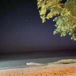 Photo taken by Anastasia A