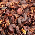 Photo taken by Marcia G