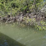 Photo taken by Mohan I