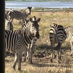 Photo taken by rhonda c