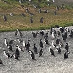 Photo taken by Ruth E