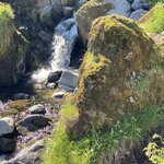 Photo taken by Christy L