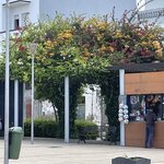 Photo taken by Donna F