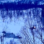 Photo taken by Jennifer E