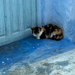 Photo taken by Betsy V