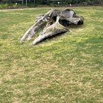 Photo taken by Brad P