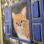 Photo taken by Sabiha K