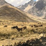 Photo taken by Kakoli K