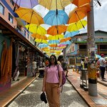 Photo taken by Mathew S