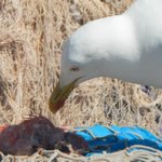 null | Photo taken by Wayne P