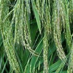 Photo taken by Alexandra G