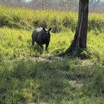 Photo taken by Meenakshi B