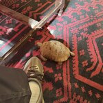 Photo taken by Mark W